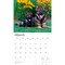 For the Love of German Shepherds | 2026 14 x 24 Inch (Hanging) Monthly Deluxe Wall Calendar | Foil Stamped Cover | Plastic-Free